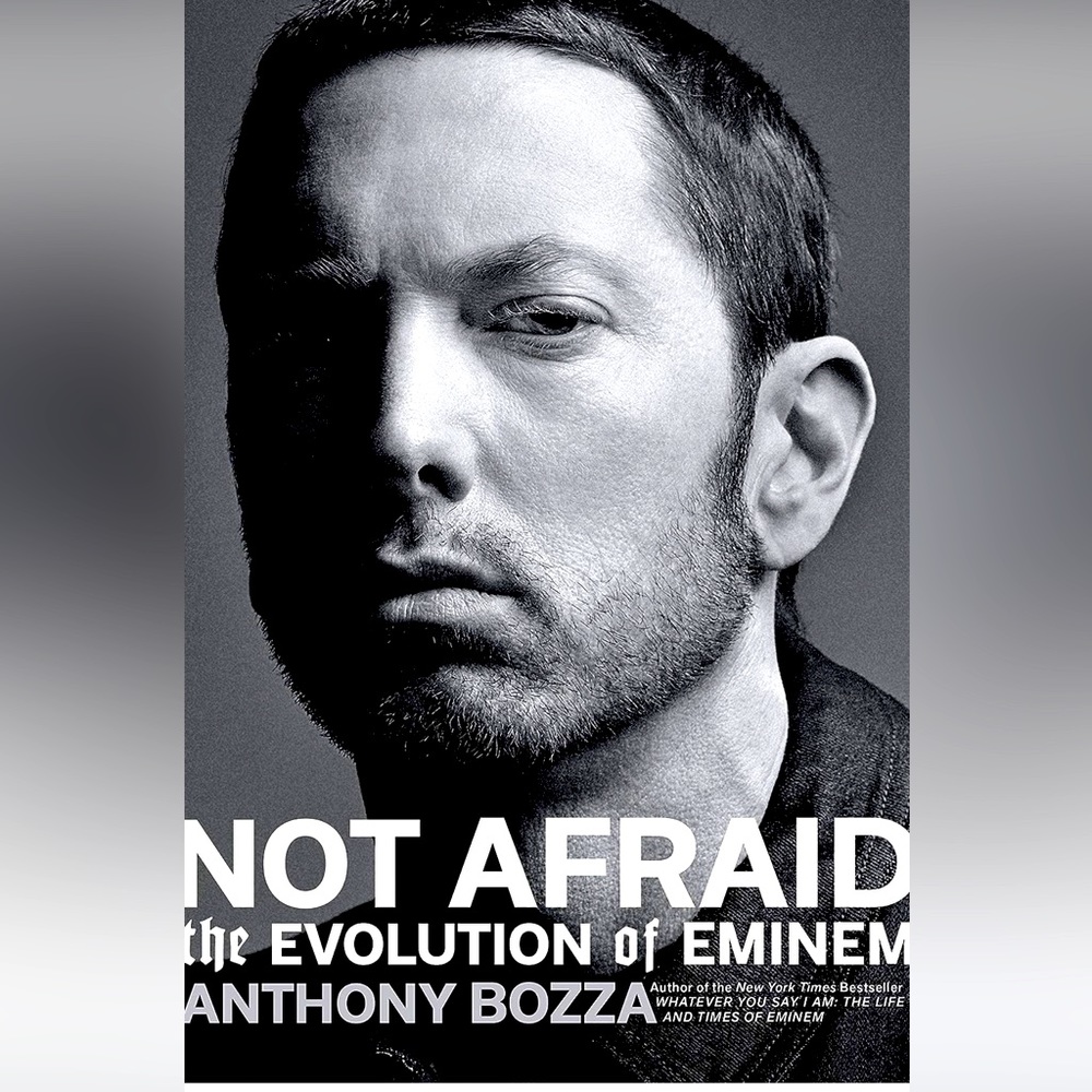 Not Afraid The Evolution of Emenem